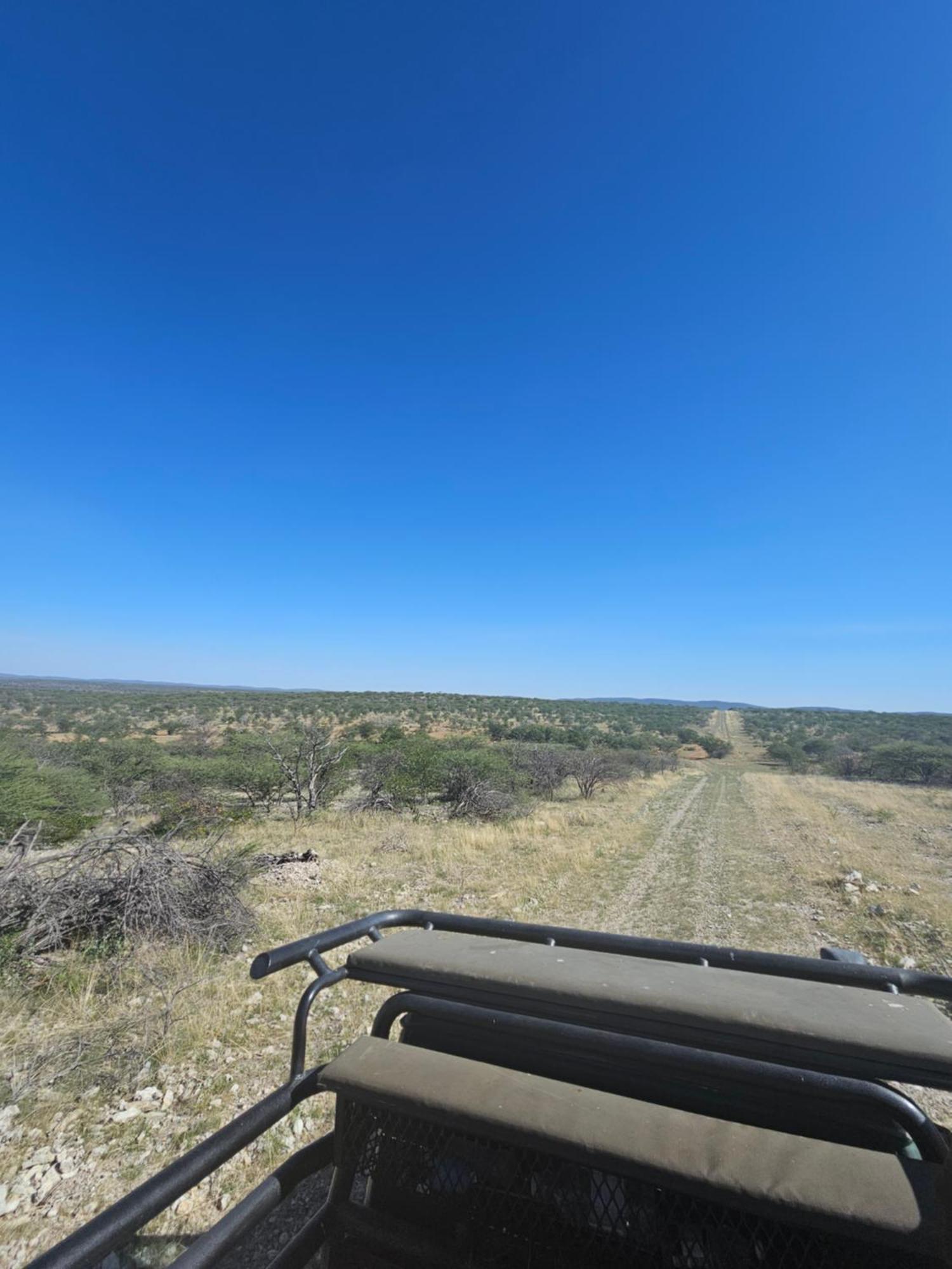 Kaoko Bush Lodge Kamanjab Екстер'єр фото