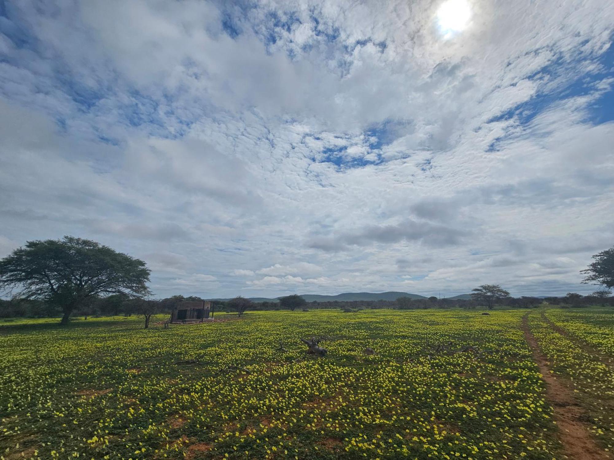 Kaoko Bush Lodge Kamanjab Екстер'єр фото